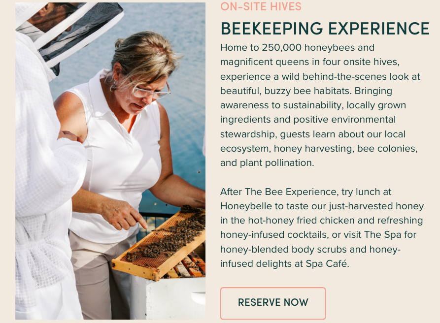 Bee Keeping Experience: Home to 250,000 honeybees and magnificent queens in four onsite hives, experience a wild behind-the-scenes look at beautiful, buzzy bee habitats. Bringing awareness to sustainability, locally grown ingredients and positive environmental stewardship, guests learn about our local ecosystem, honey harvesting, bee colonies, and plant pollination. After The Bee Experience, try lunch at Honeybelle to taste our just-harvested honey in the hot-honey fried chicken and refreshing honey-infused cocktails, or visit The Spa for honey-blended body scrubs and honey-infused delights at Spa Café. 